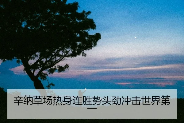 xin-na-cao-chang-re-shen-lian-sheng-shi-tou-jin-chong-ji-shi-jie-di-yi-2-341.jpg