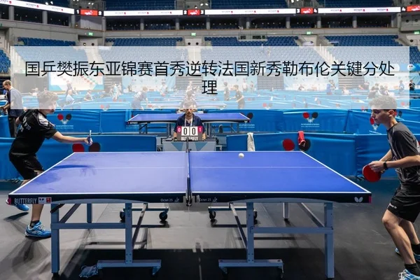 国乒樊振东亚锦赛首秀逆转法国新秀勒布伦关键分处理